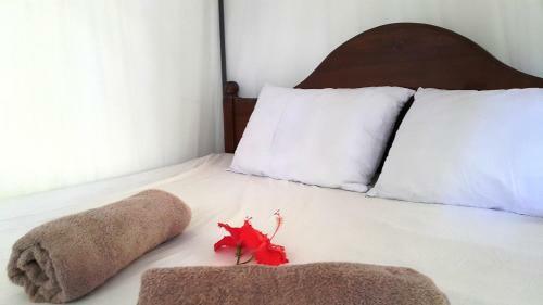 Bed & Breakfast Era Holiday House