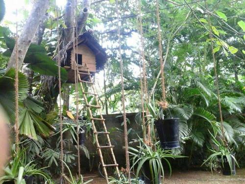 Nadi Villa