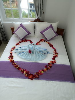 Bed & Breakfast Beautiful Moon Hoi An Villa