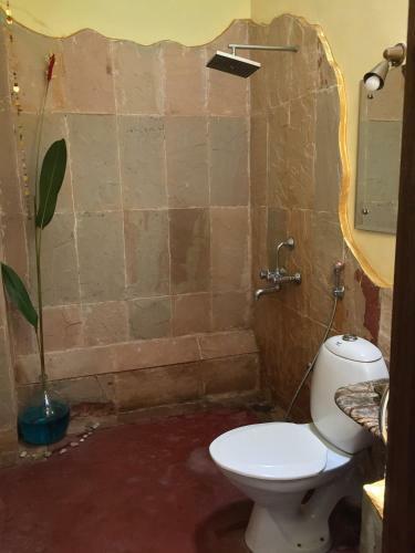 Agroturismo The Secret Garden Goa