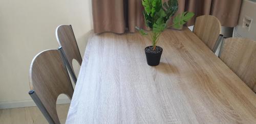 Apartamento Indo5