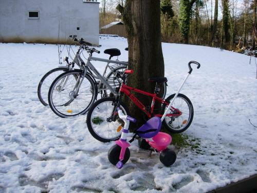 G�te Rural Le Falihou (3 �pis)