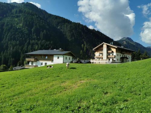 Albergue Appartement Berghof