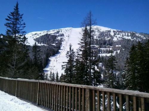 Apartamento Ferienhaus Aloisia