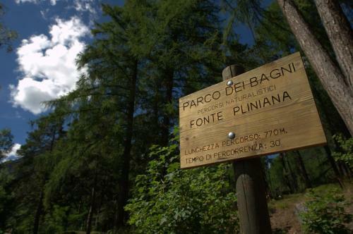 Qc Terme Hotel Bagni Vecchi