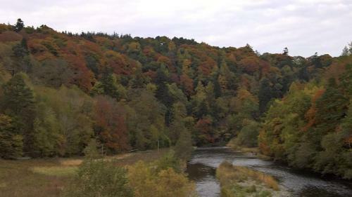 Tweed View B&B