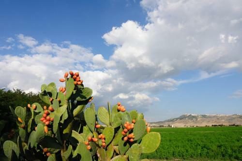 Agroturismo L'orto Di Lucania
