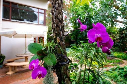 Hostal Oliveroom