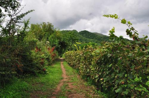 Bed & Breakfast Finca Cielo Verde