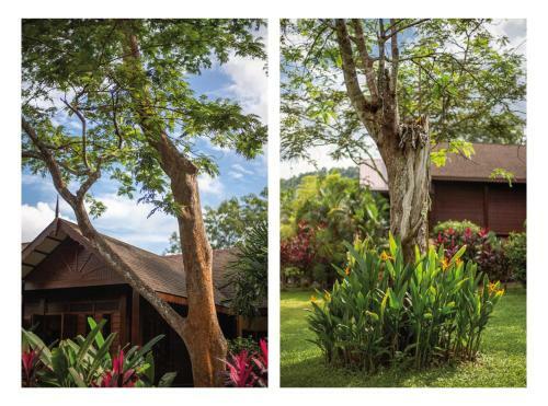 Villa Sunset Valley Holiday Houses