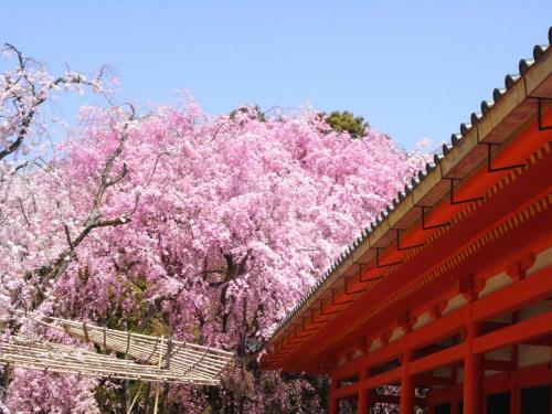 Hostal Guesthouse Kyoto Kaikonoyashiro