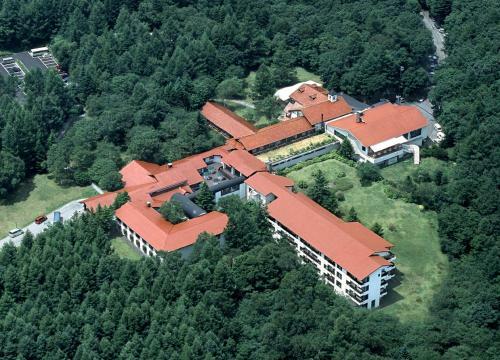 Hotel Yatsugatake Kogen Lodge
