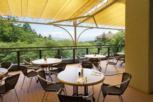 Hotel Yatsugatake Kogen Lodge