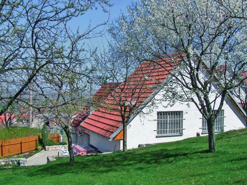 Villa Horni Vestonice
