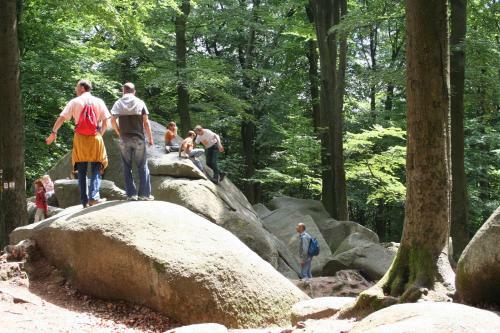 Apartamento Komfort-ferienwohnungen Horster