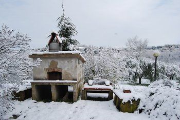 Agroturismo Tenuta Il Pino