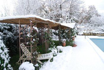 Agroturismo Tenuta Il Pino