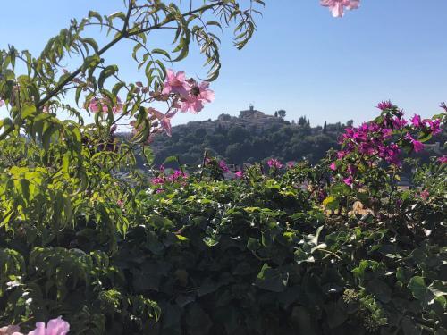Bed & Breakfast Les Grimaldines - Maison D'h�tes