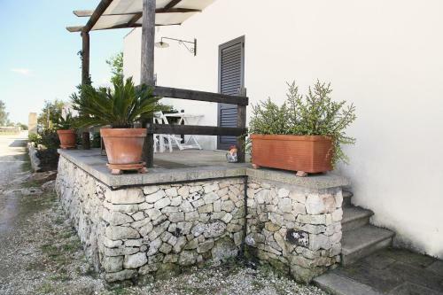 Agroturismo Agriturismo Le Site