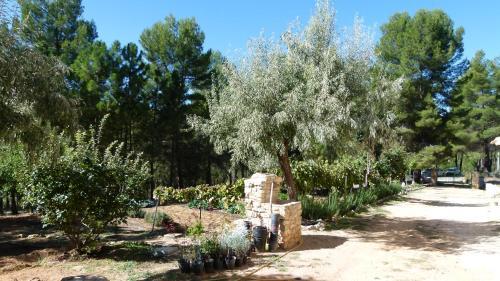 Albergue Cortijo Covaroca