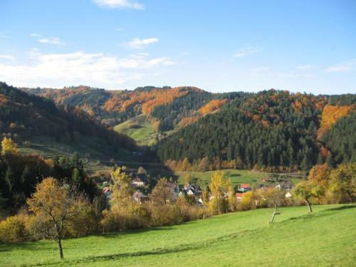Apartamento Ferienwohnung D�rflinger