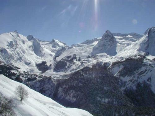 Rental Apartment Le Chalet 5