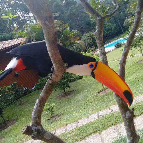 Hostal Pousada Tucano Do Cuiab�