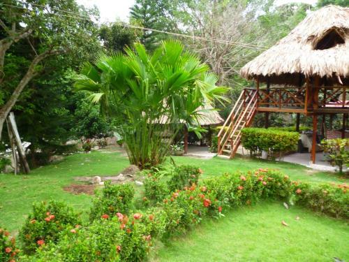 Posada Ecoturistica Palmares Del Rio
