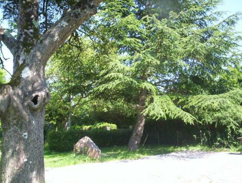 Bed & Breakfast La Fretissiere