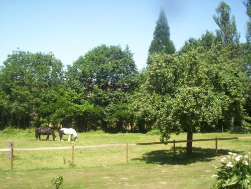 Bed & Breakfast La Fretissiere