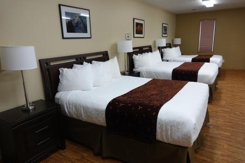 Motel Cowlitz River Lodge