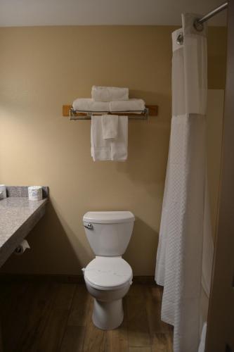 Motel Cowlitz River Lodge