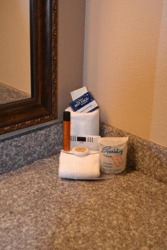 Motel Cowlitz River Lodge