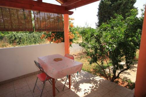 Hostal Studio Susica 8265b
