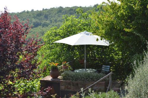 Agroturismo Casa Ercole Farm Stay