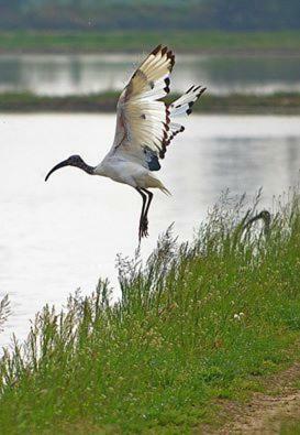 Bed & Breakfast Perbacco