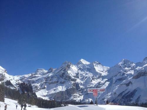 Apartamento Appartment Chalet Sonnenheim