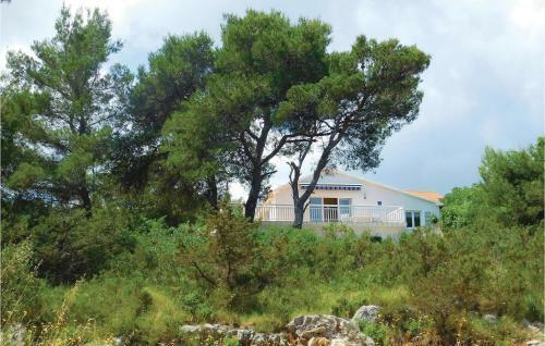 Holiday Home Vrboska With Fireplace 06