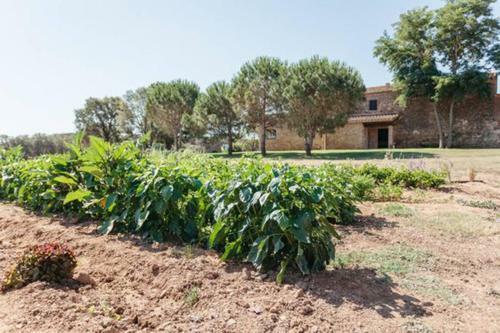 Villa Casa Rural Mas Nou D'en Lliure Peratallada