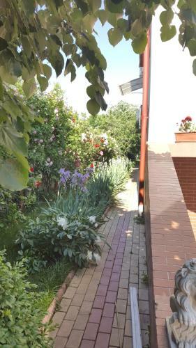 Hostal Johanna House