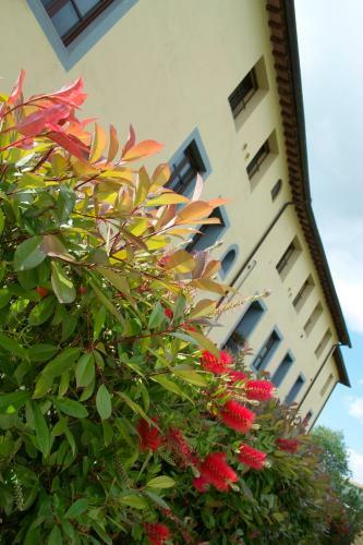 Apartamento Residence Giuly Rosselmini
