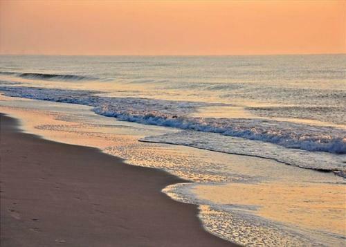 Penthouse 704- Carolina Dunes Apartment