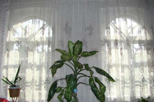 Apartment Like Home At Frunze