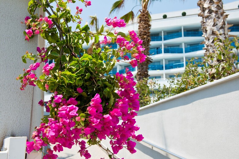 Numa Beach&spa Hotel ( Adult Only )