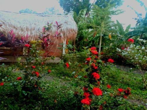 Agroturismo Bananas Guest House