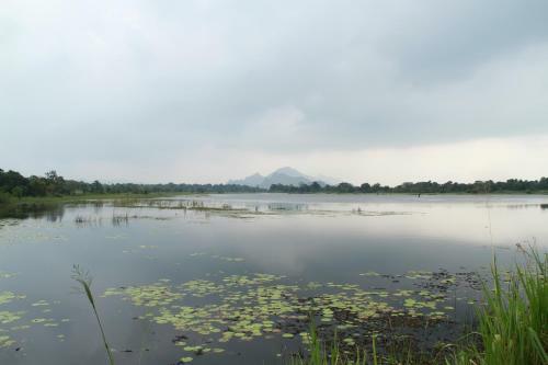 Wewa Addara Hotel - Hotel By The Lake