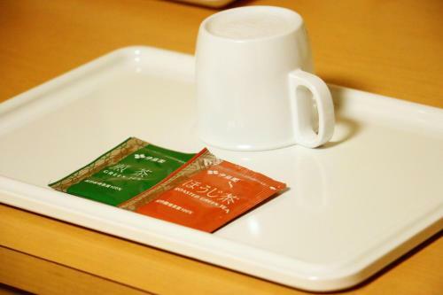 Nasushiobara Station Hotel