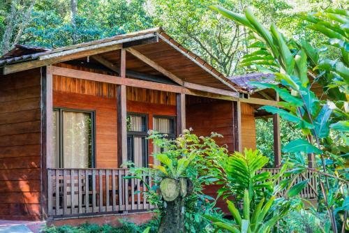Albergue Heliconias Rainforest Lodge