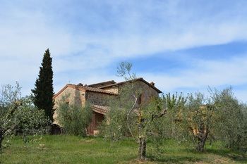 Agroturismo Borgo D� Brandi