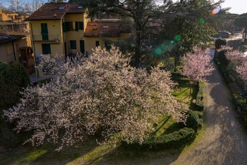 Bed & Breakfast Dimora Salviati